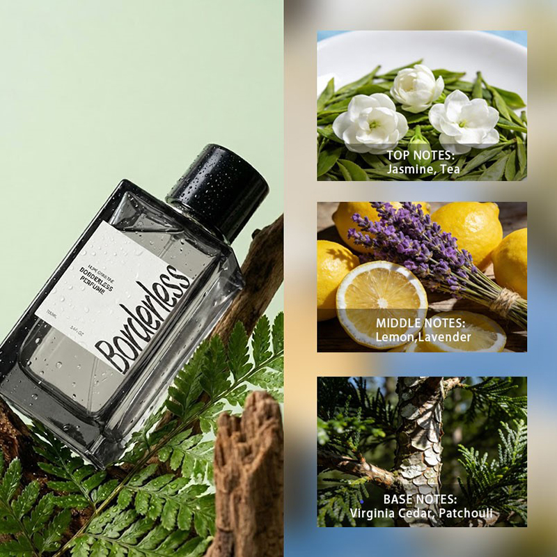 Luxury Borderless Men Perfume  - Perfume Lavender Fragrance review and price